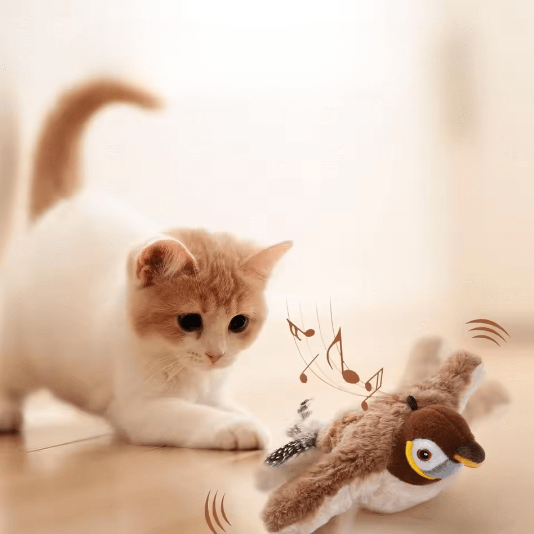 Pet Favorites Interactive Cat Toy